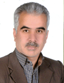 محمدحسین خواجه وندی